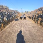 whatsapp image 2026 03 05 at 12.51.27 (2)