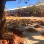 whatsapp image 2026 03 05 at 14.14.10 (1)