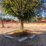 whatsapp image 2026 03 05 at 14.14.11 (1)