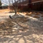 whatsapp image 2026 03 05 at 14.14.14 (3)