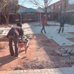 whatsapp image 2026 03 05 at 14.15.12