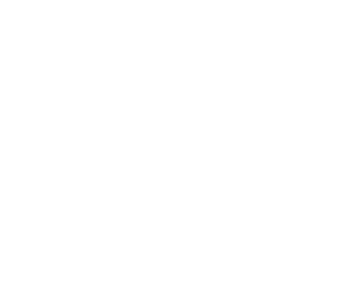 white 4t group logo